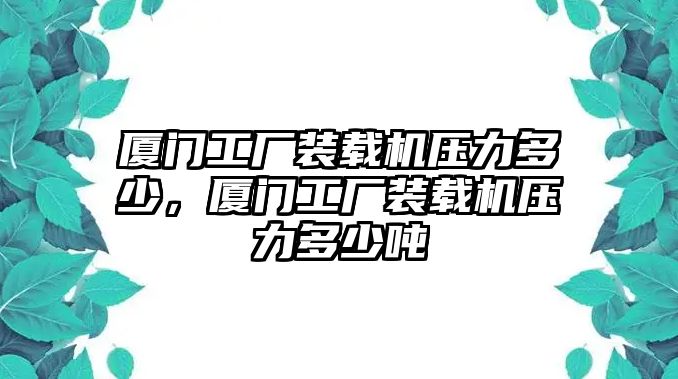 廈門工廠裝載機壓力多少，廈門工廠裝載機壓力多少噸