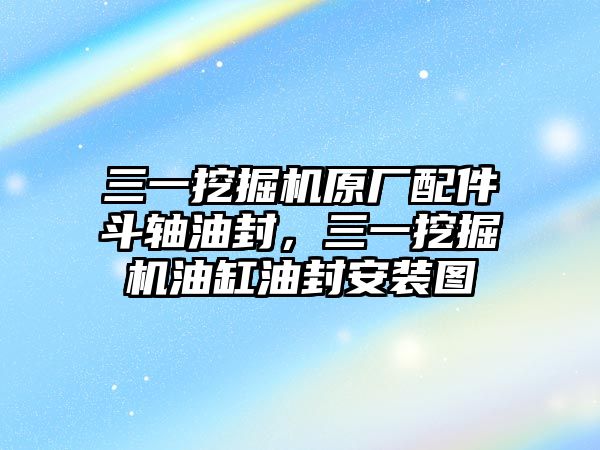 三一挖掘機(jī)原廠配件斗軸油封，三一挖掘機(jī)油缸油封安裝圖