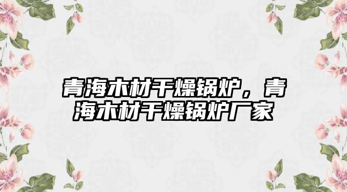 青海木材干燥鍋爐，青海木材干燥鍋爐廠家