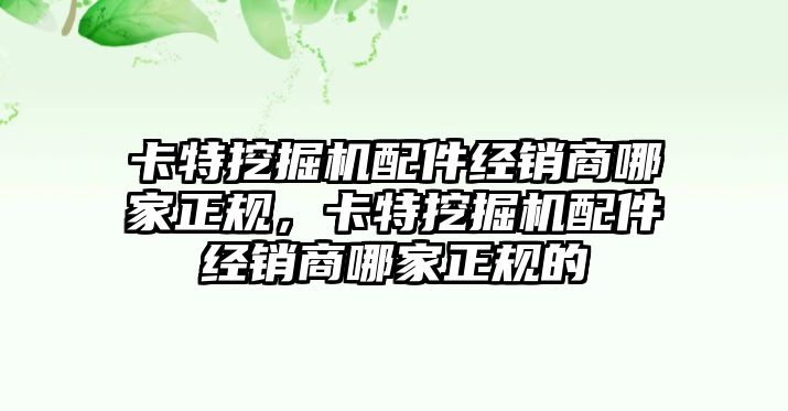 卡特挖掘機配件經(jīng)銷商哪家正規(guī)，卡特挖掘機配件經(jīng)銷商哪家正規(guī)的