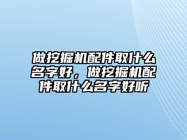 做挖掘機配件取什么名字好，做挖掘機配件取什么名字好聽