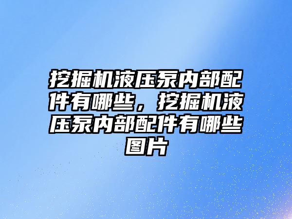 挖掘機液壓泵內(nèi)部配件有哪些，挖掘機液壓泵內(nèi)部配件有哪些圖片