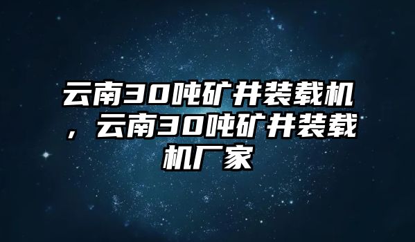 云南30噸礦井裝載機(jī)，云南30噸礦井裝載機(jī)廠家