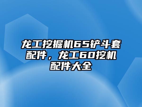 龍工挖掘機65鏟斗套配件，龍工60挖機配件大全