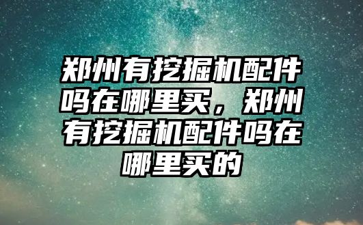 鄭州有挖掘機(jī)配件嗎在哪里買，鄭州有挖掘機(jī)配件嗎在哪里買的