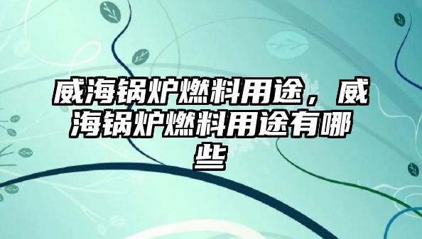 威海鍋爐燃料用途，威海鍋爐燃料用途有哪些