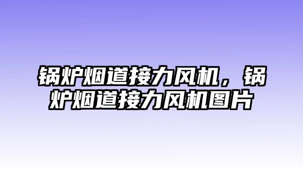 鍋爐煙道接力風(fēng)機(jī)，鍋爐煙道接力風(fēng)機(jī)圖片