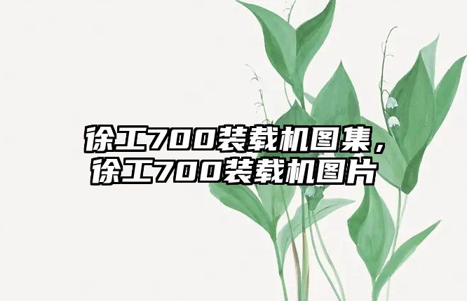 徐工700裝載機圖集，徐工700裝載機圖片