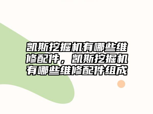 凱斯挖掘機(jī)有哪些維修配件，凱斯挖掘機(jī)有哪些維修配件組成