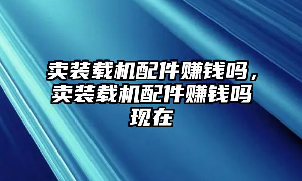 賣裝載機(jī)配件賺錢嗎，賣裝載機(jī)配件賺錢嗎現(xiàn)在