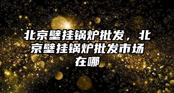 北京壁掛鍋爐批發(fā)，北京壁掛鍋爐批發(fā)市場在哪