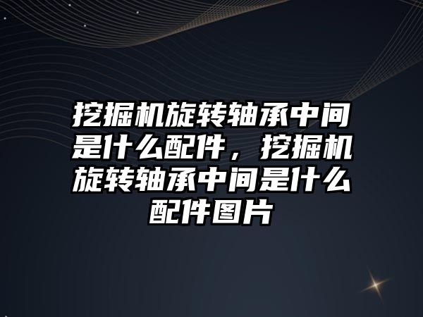 挖掘機旋轉軸承中間是什么配件，挖掘機旋轉軸承中間是什么配件圖片