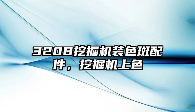 320B挖掘機裝色斑配件，挖掘機上色