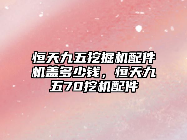 恒天九五挖掘機(jī)配件機(jī)蓋多少錢，恒天九五70挖機(jī)配件