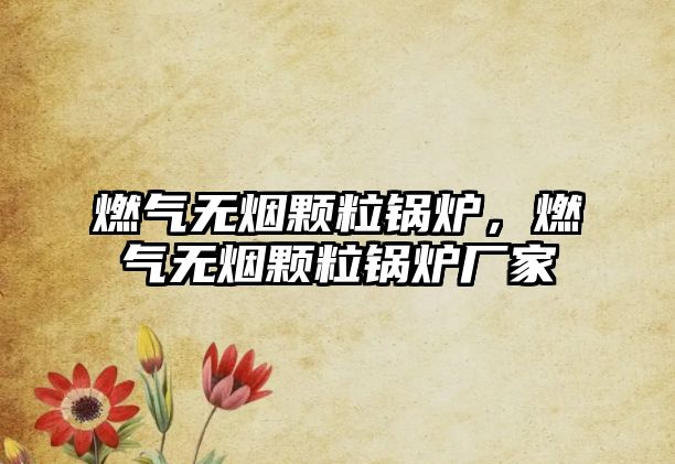 燃?xì)鉄o(wú)煙顆粒鍋爐，燃?xì)鉄o(wú)煙顆粒鍋爐廠家