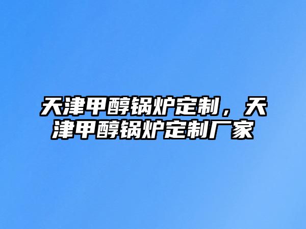 天津甲醇鍋爐定制，天津甲醇鍋爐定制廠家