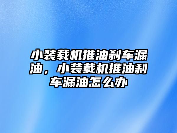 小裝載機(jī)推油剎車漏油，小裝載機(jī)推油剎車漏油怎么辦