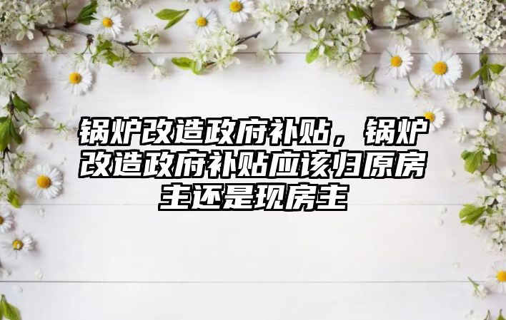 鍋爐改造政府補貼，鍋爐改造政府補貼應該歸原房主還是現房主