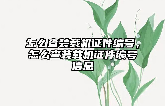 怎么查裝載機證件編號，怎么查裝載機證件編號信息