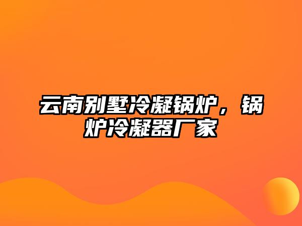 云南別墅冷凝鍋爐，鍋爐冷凝器廠家