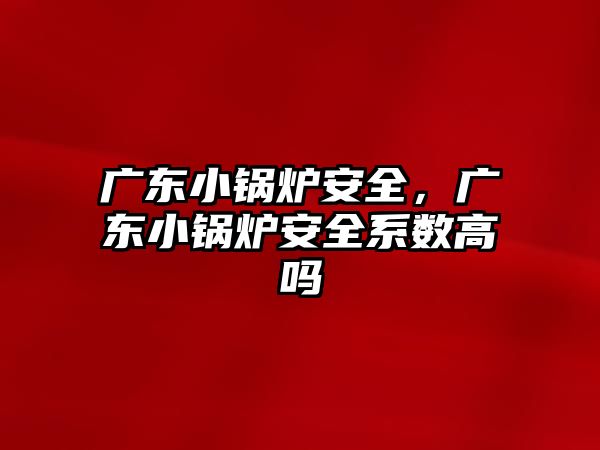 廣東小鍋爐安全，廣東小鍋爐安全系數(shù)高嗎