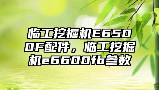 臨工挖掘機E6500F配件，臨工挖掘機e6600fb參數(shù)