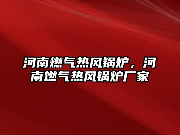 河南燃?xì)鉄犸L(fēng)鍋爐，河南燃?xì)鉄犸L(fēng)鍋爐廠家