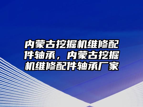 內蒙古挖掘機維修配件軸承，內蒙古挖掘機維修配件軸承廠家