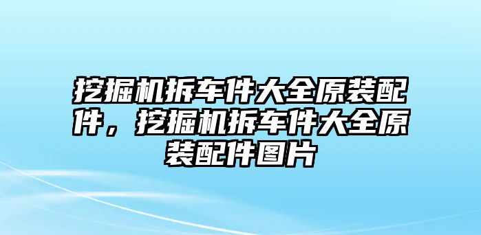 挖掘機(jī)拆車件大全原裝配件，挖掘機(jī)拆車件大全原裝配件圖片