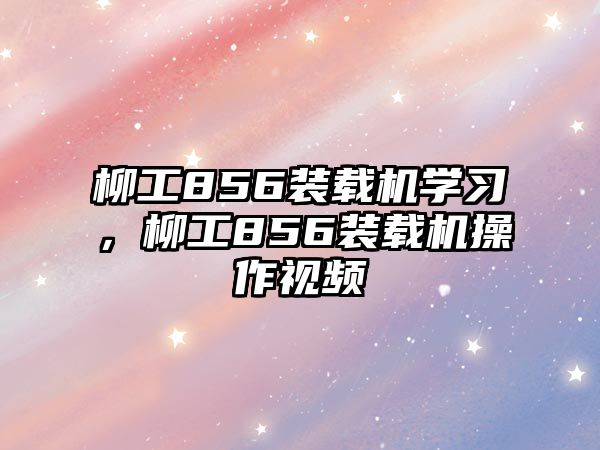 柳工856裝載機學(xué)習(xí)，柳工856裝載機操作視頻