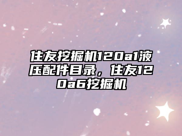 住友挖掘機(jī)120a1液壓配件目錄，住友120a6挖掘機(jī)