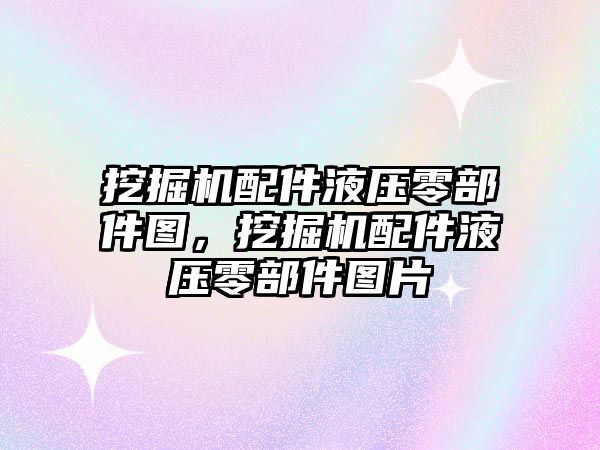 挖掘機配件液壓零部件圖，挖掘機配件液壓零部件圖片