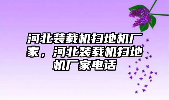 河北裝載機(jī)掃地機(jī)廠家，河北裝載機(jī)掃地機(jī)廠家電話