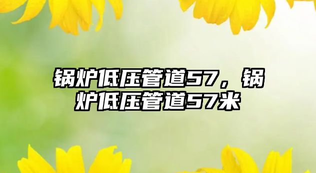 鍋爐低壓管道57，鍋爐低壓管道57米