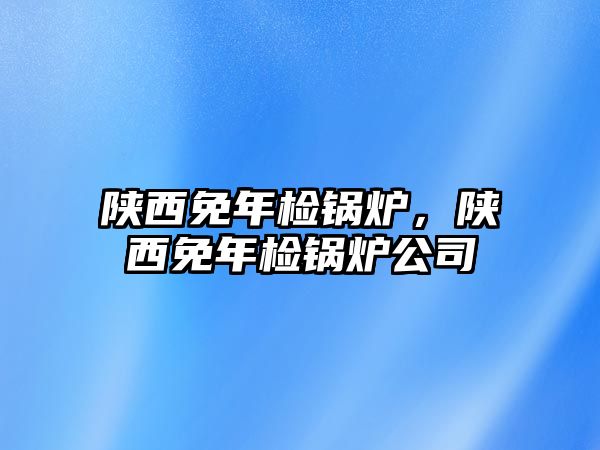 陜西免年檢鍋爐，陜西免年檢鍋爐公司