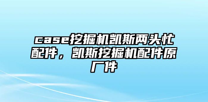 case挖掘機(jī)凱斯兩頭忙配件，凱斯挖掘機(jī)配件原廠件