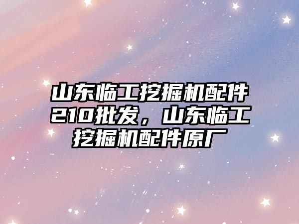 山東臨工挖掘機(jī)配件210批發(fā)，山東臨工挖掘機(jī)配件原廠