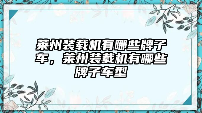 萊州裝載機(jī)有哪些牌子車，萊州裝載機(jī)有哪些牌子車型