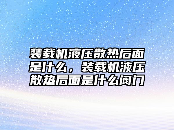 裝載機液壓散熱后面是什么，裝載機液壓散熱后面是什么閥門