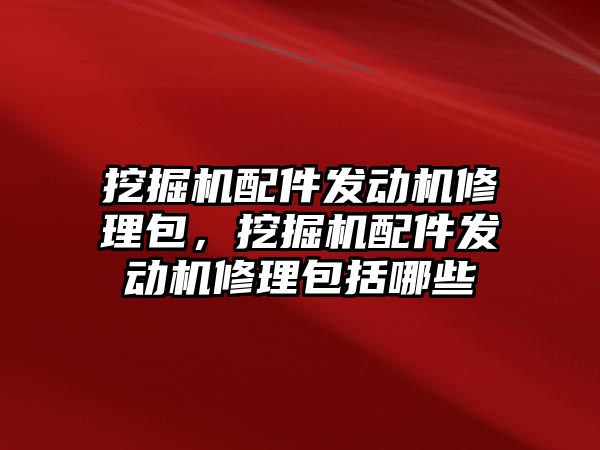 挖掘機配件發(fā)動機修理包，挖掘機配件發(fā)動機修理包括哪些