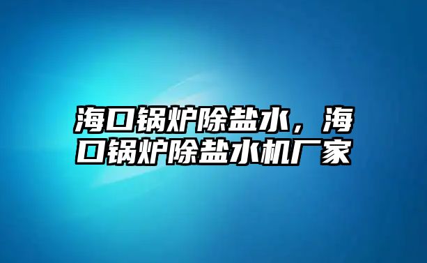 ?？阱仩t除鹽水，?？阱仩t除鹽水機(jī)廠(chǎng)家