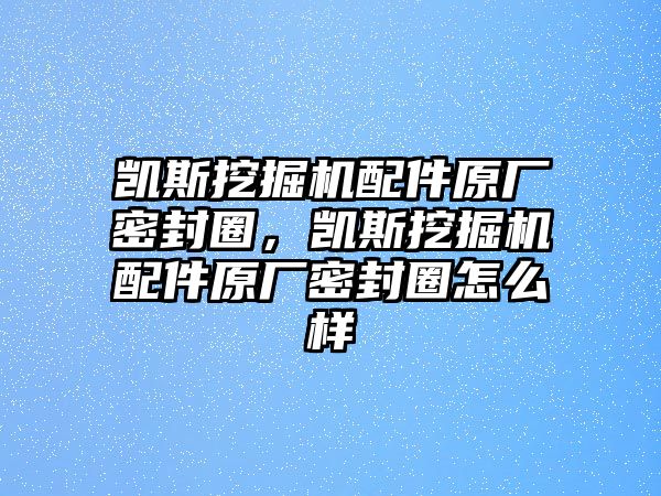 凱斯挖掘機配件原廠密封圈，凱斯挖掘機配件原廠密封圈怎么樣