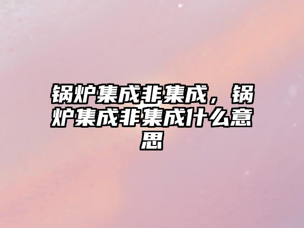 鍋爐集成非集成，鍋爐集成非集成什么意思