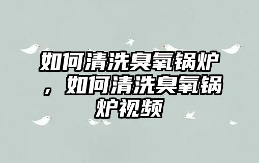 如何清洗臭氧鍋爐，如何清洗臭氧鍋爐視頻