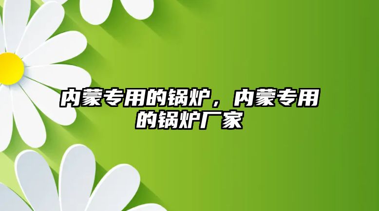 內(nèi)蒙專用的鍋爐，內(nèi)蒙專用的鍋爐廠家