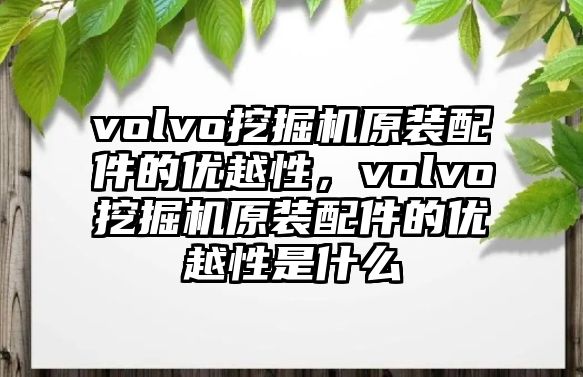 volvo挖掘機(jī)原裝配件的優(yōu)越性，volvo挖掘機(jī)原裝配件的優(yōu)越性是什么