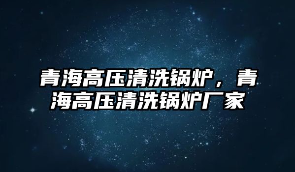 青海高壓清洗鍋爐，青海高壓清洗鍋爐廠家