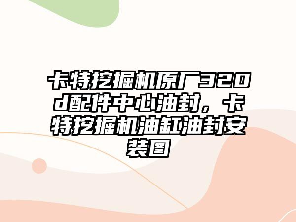 卡特挖掘機(jī)原廠320d配件中心油封，卡特挖掘機(jī)油缸油封安裝圖