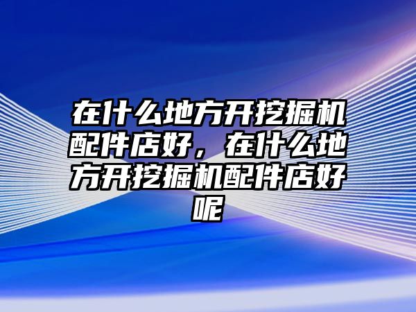 在什么地方開挖掘機配件店好，在什么地方開挖掘機配件店好呢