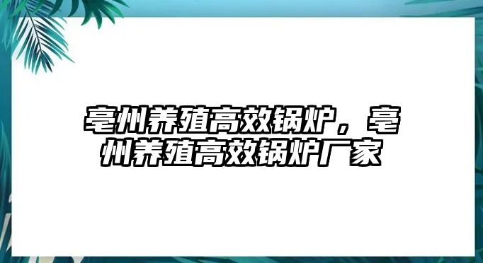 亳州養(yǎng)殖高效鍋爐，亳州養(yǎng)殖高效鍋爐廠家